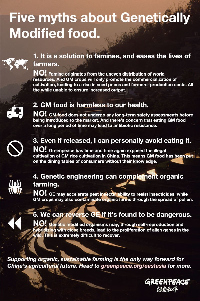 socio-economic effects of gmos