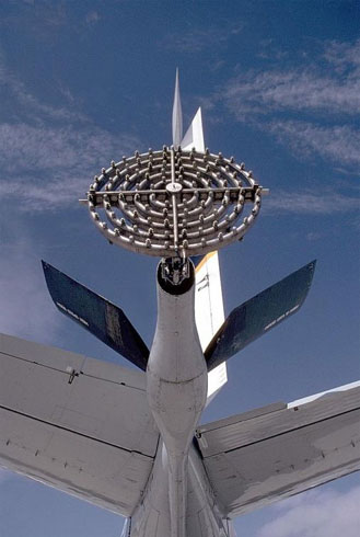 cannabis thesis suzannah shimwell