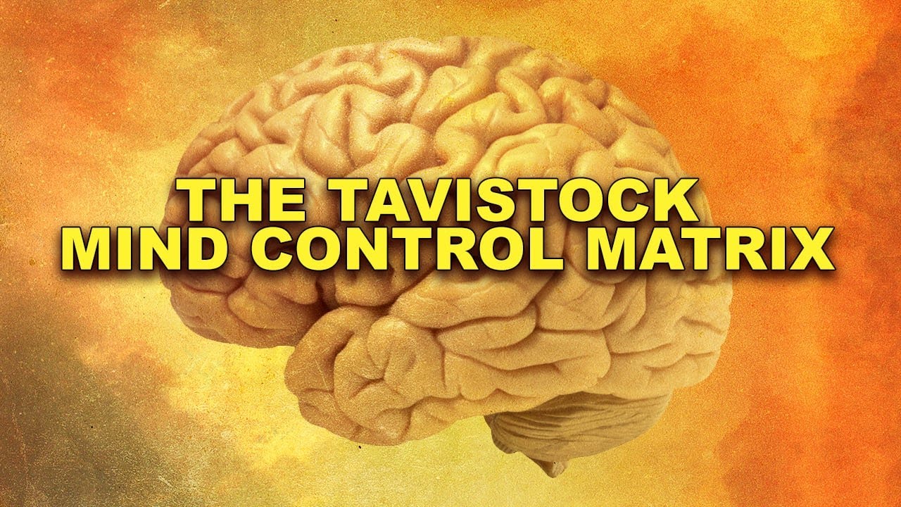 the tavistock institute of human relations